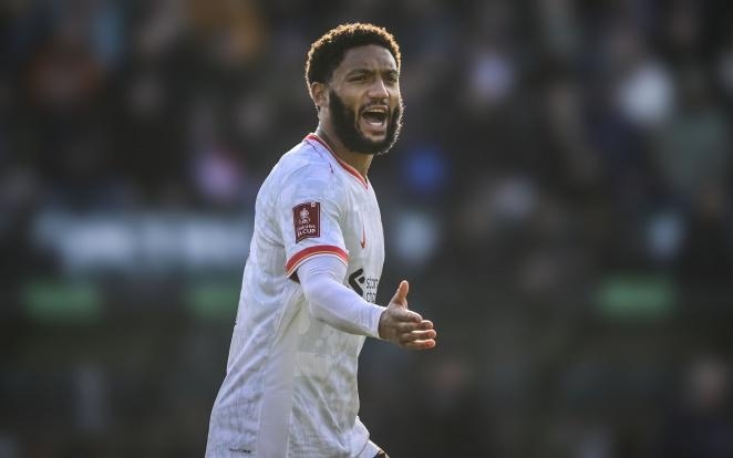 日本更早的 日本更早的