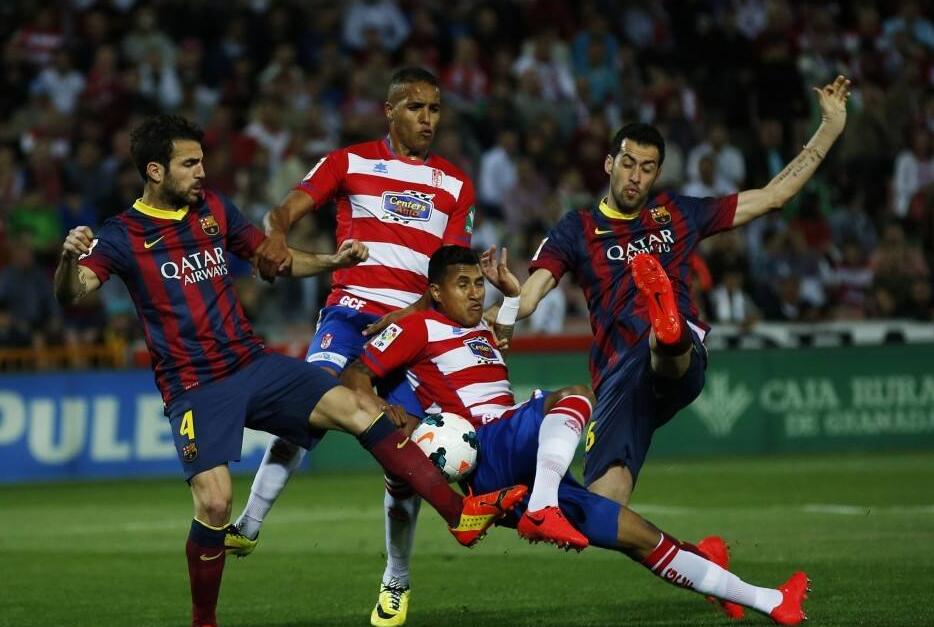 影响在生态 影响在生态